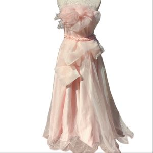 NWT Blush Pink Chiffon Ostrich Feather Gown Size 4